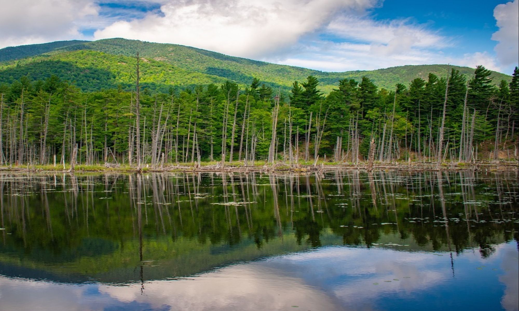 Essex, NY Fishing: Angling Along Historic Places
