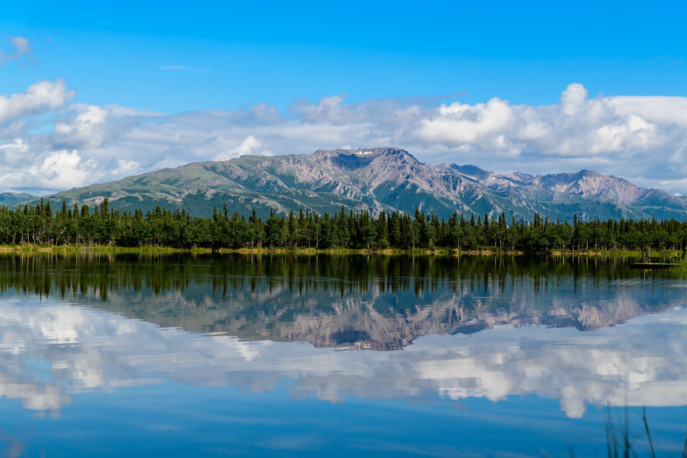 Your Alaska Fish Bucket List and Where to Find Them