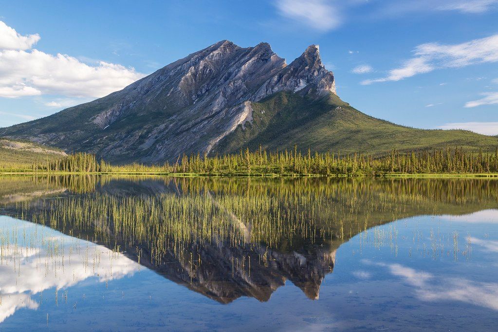Alaska's Salmon You Can Catch and Where