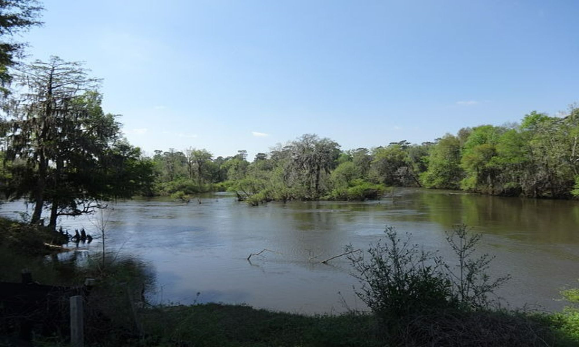 Book Your Fishing Charter in Albany, GA