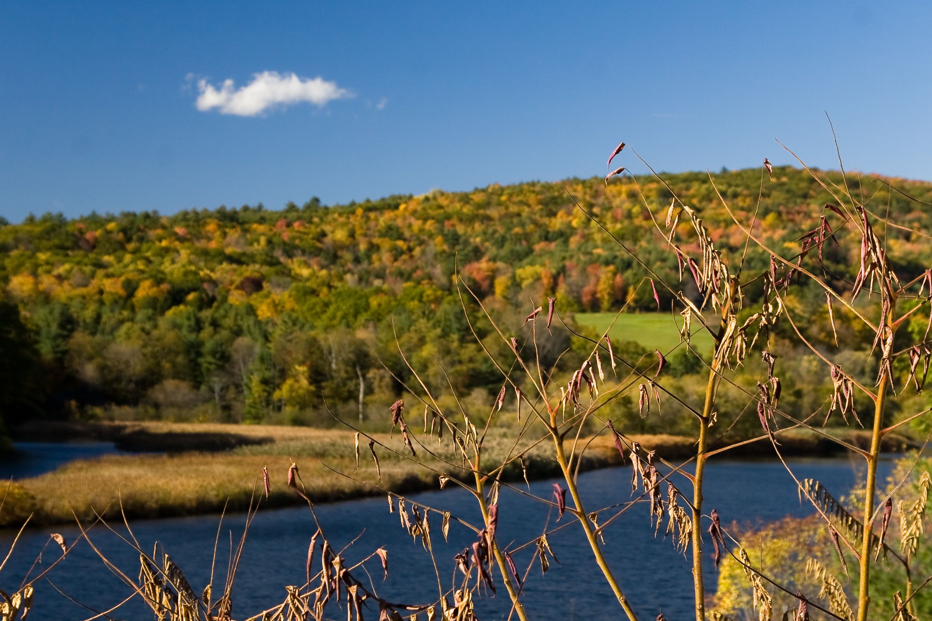Alburgh, VT Fishing: Lakeside Town with Fantastic Access to Lake Champlain