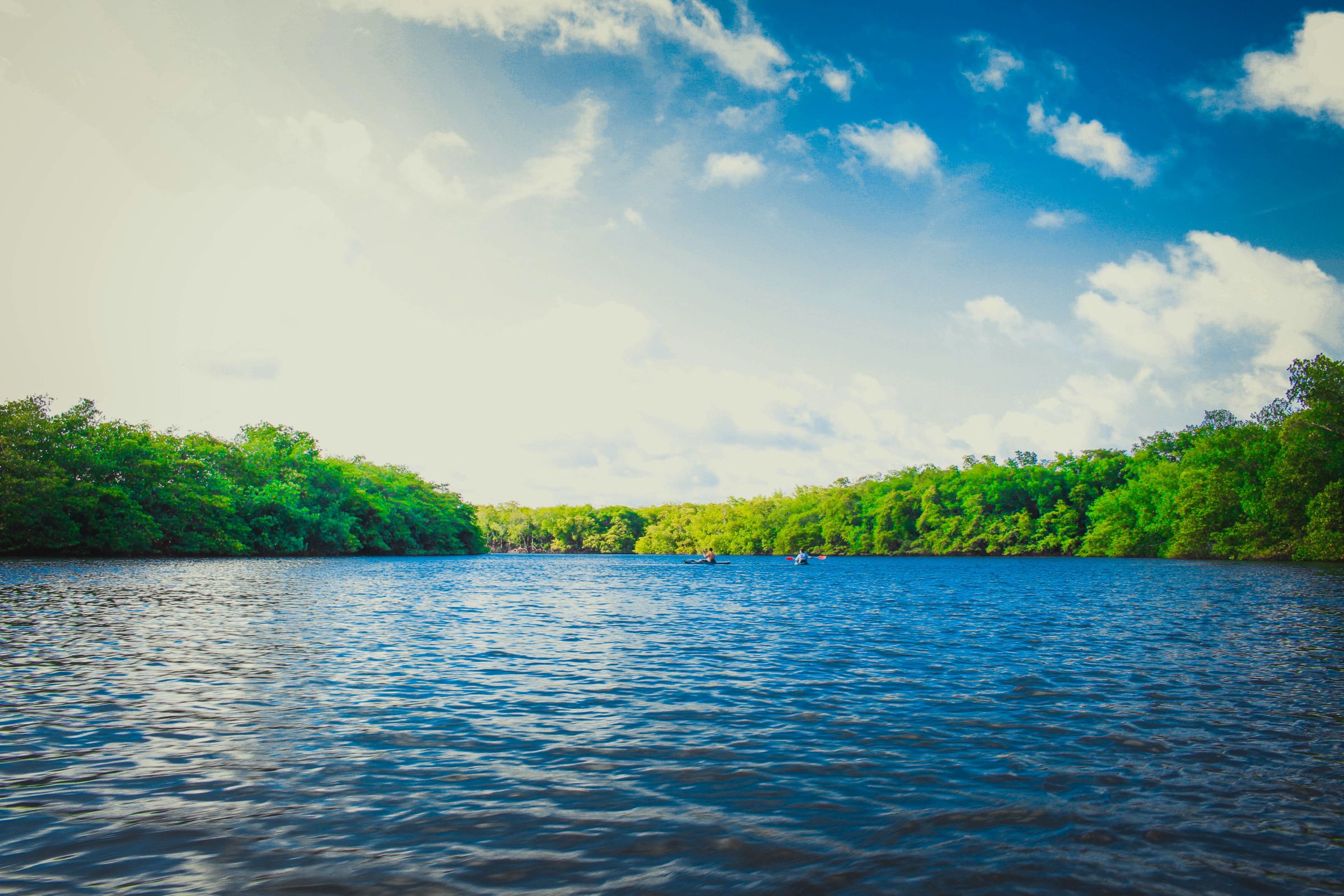 Allegany, NY Fishing: The Enchanted Mountains of Western New York