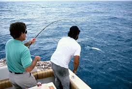 Angler tips.jfif