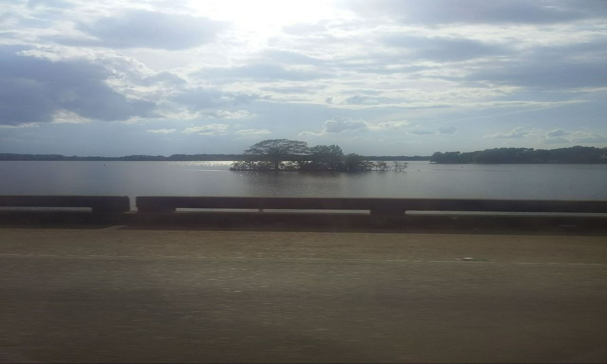 Book Your Fishing Charter in Ashland, LA