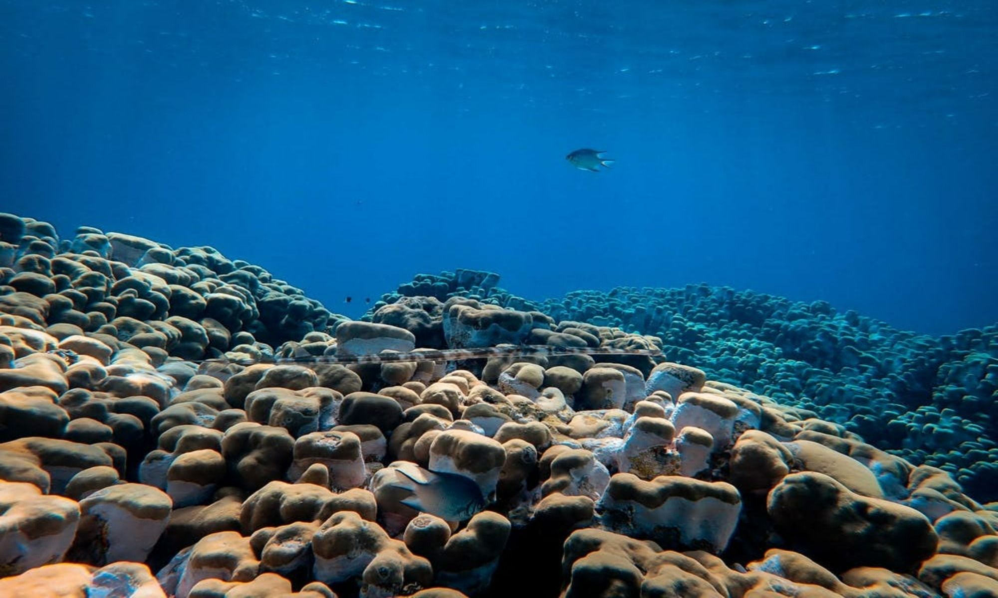 Bottom Composition: How to Fish These 5 Types