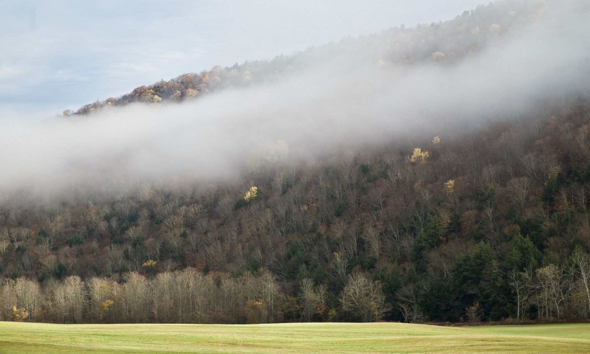 Book Your Fishing Charter in Barnard, VT