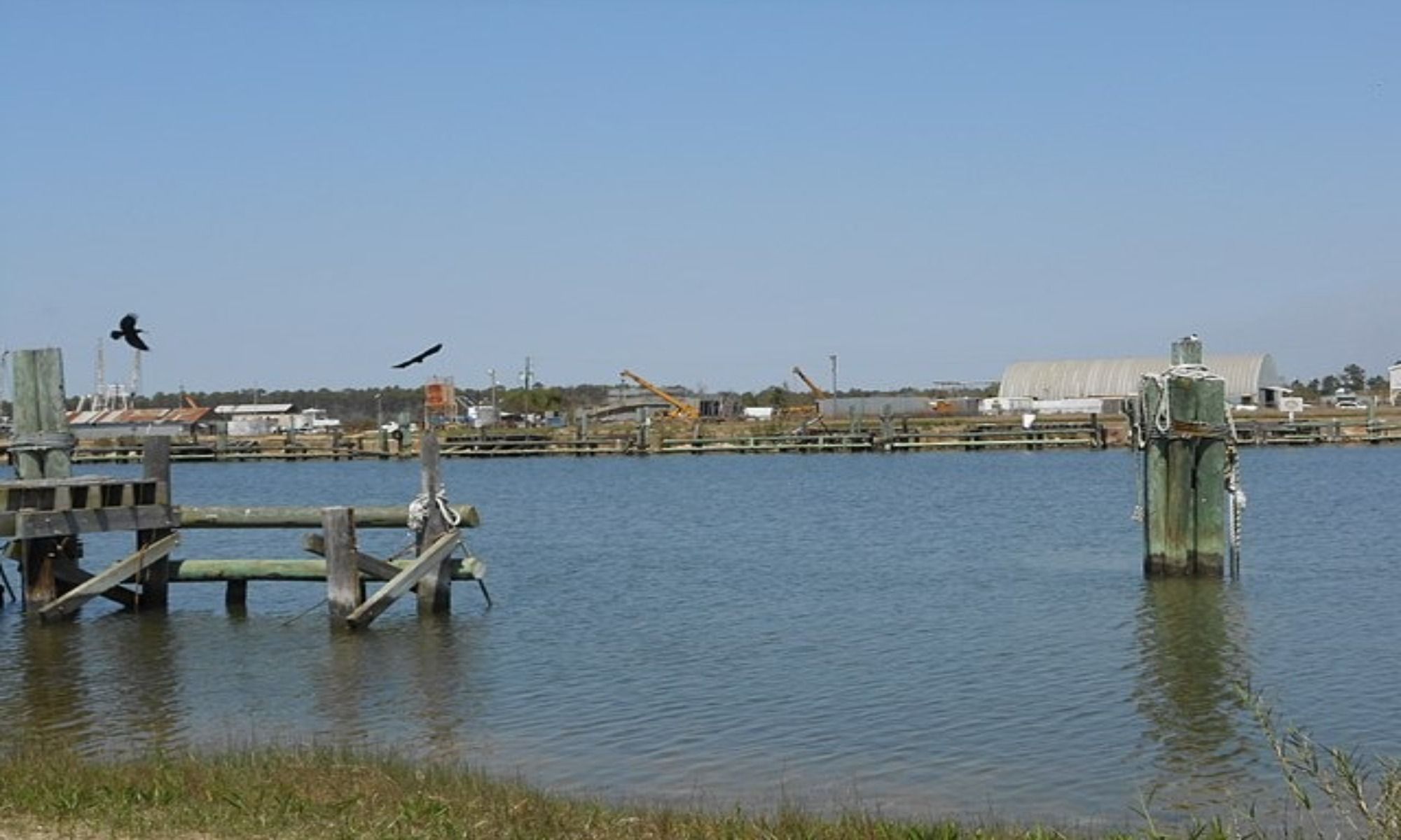Bayou La Batre, AL Fishing: Great Fishing Adventure in the Bayou