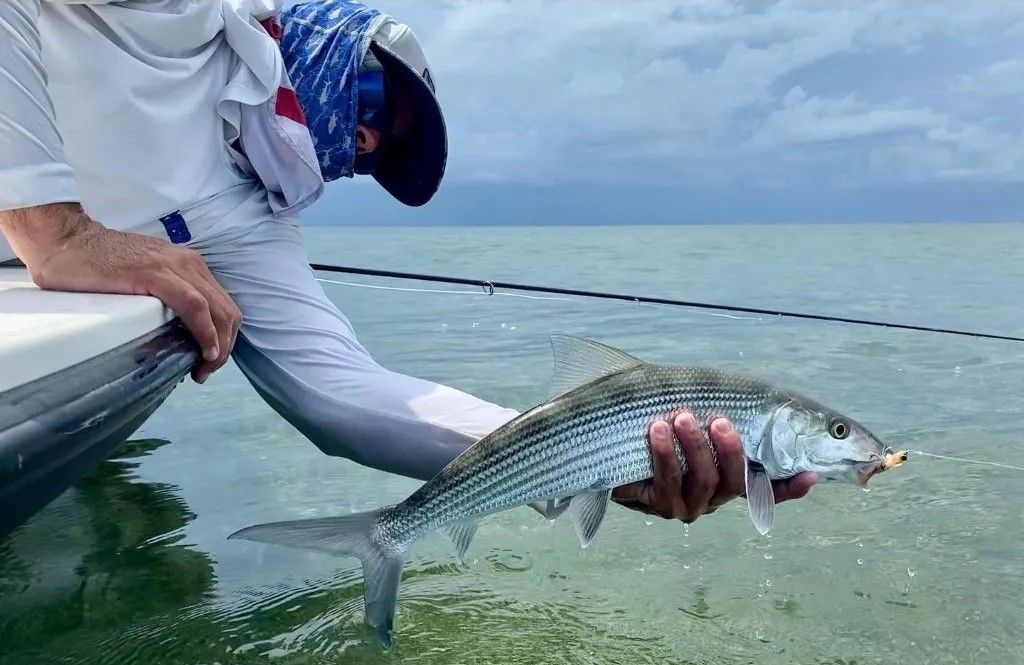 Bonefish