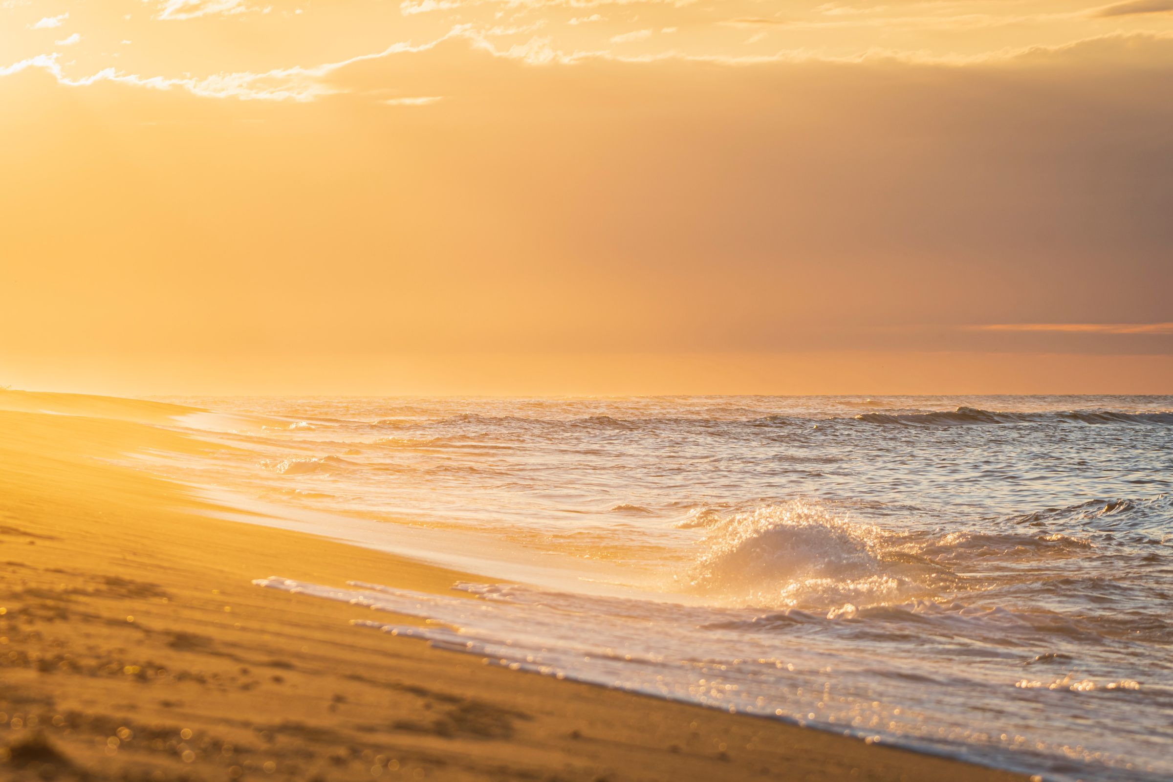 Cape Cod, MA Fishing: A Marine Biology Hotspot
