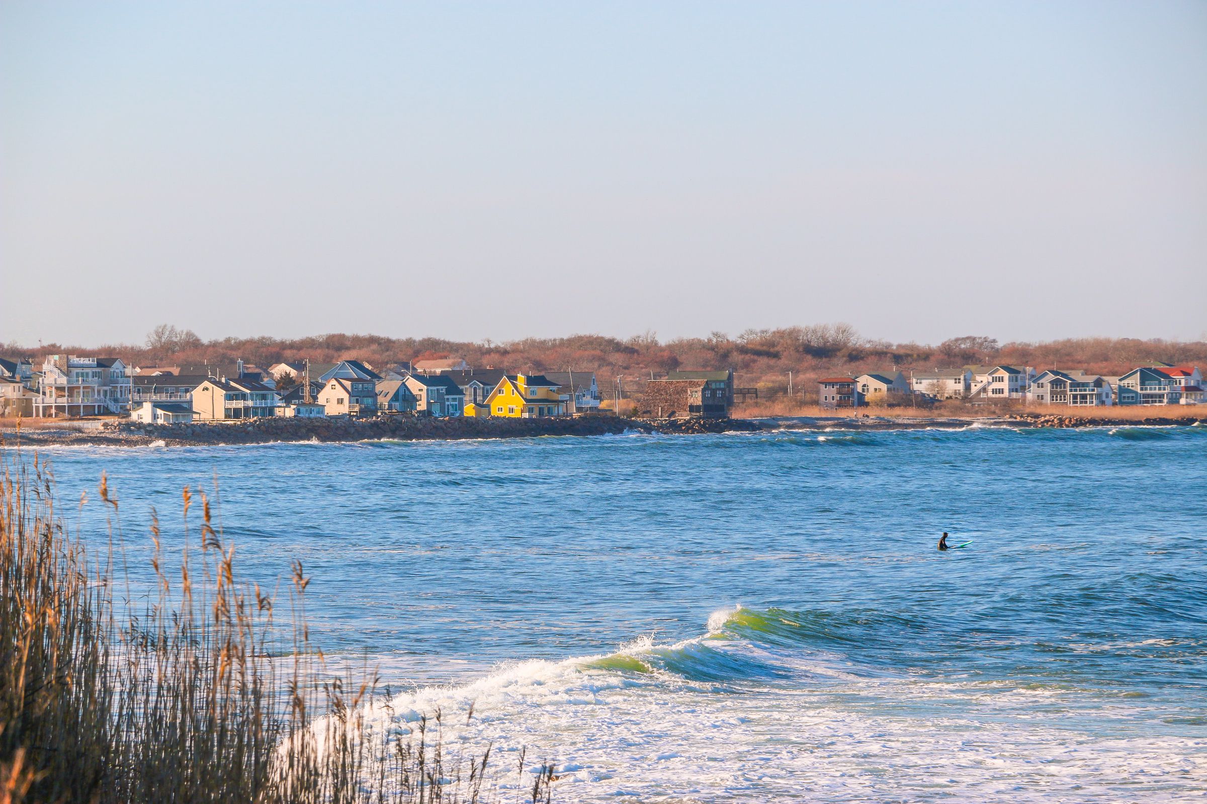 Cape Cod, MA Fishing: A Marine Biology Hotspot