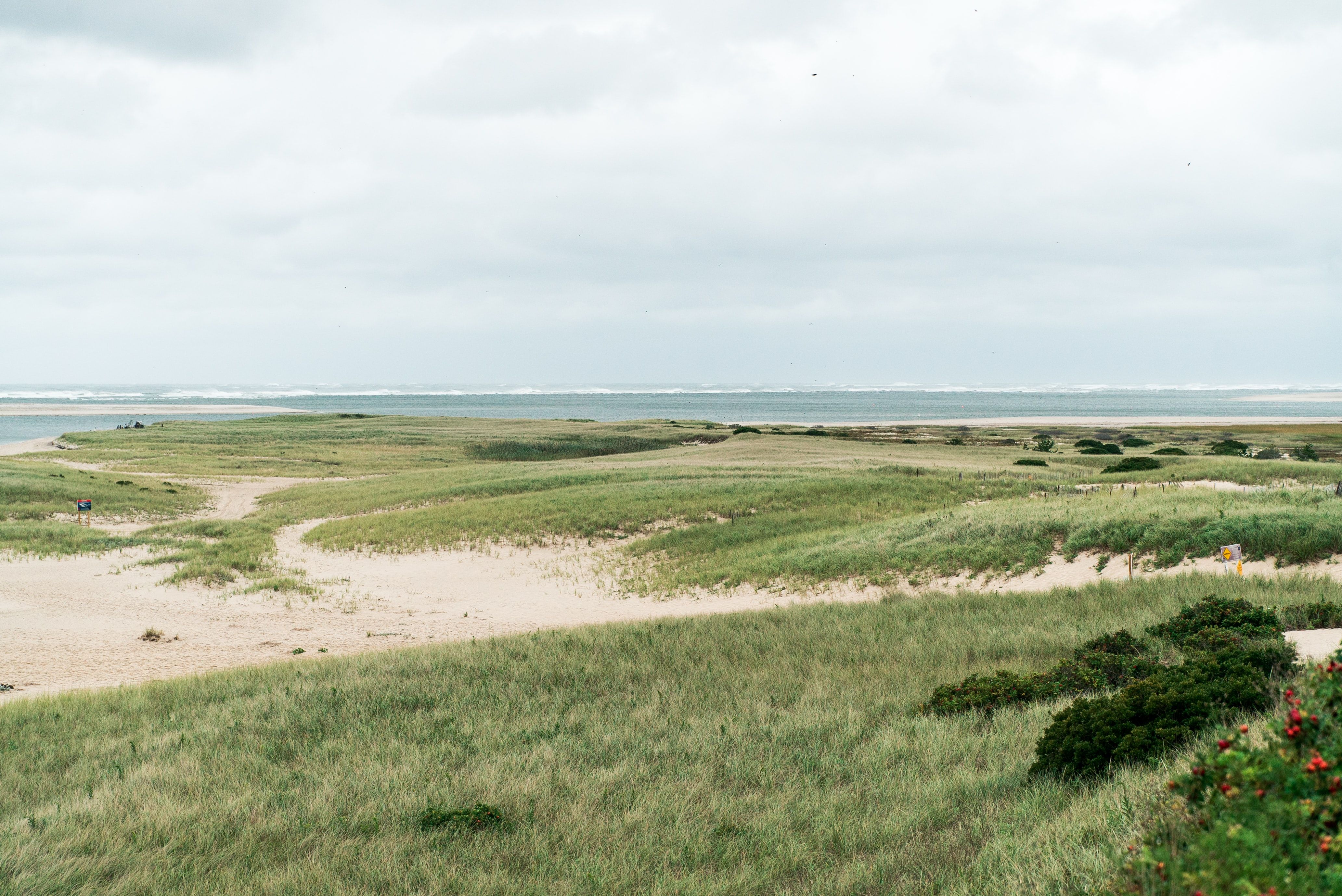 4 Reasons Why Cape Cod is an Amazing Fishing Spot