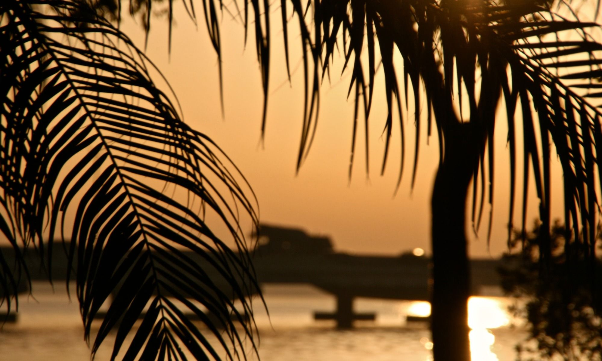 Cape Coral, FL Fishing: Florida’s Waterfront Wonderland