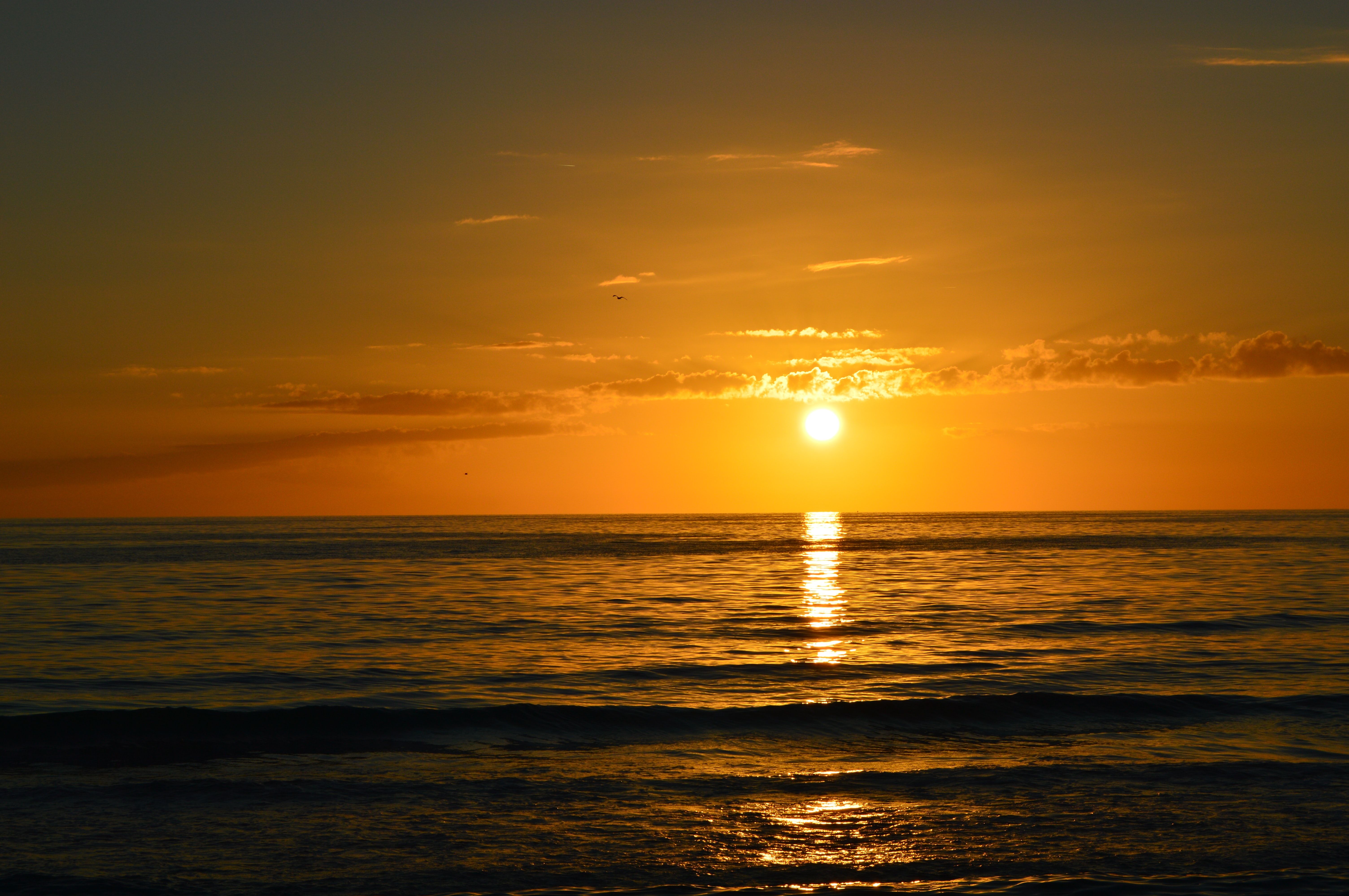 Cape San Blas, FL Fishing: Florida’s Hidden Treasure
