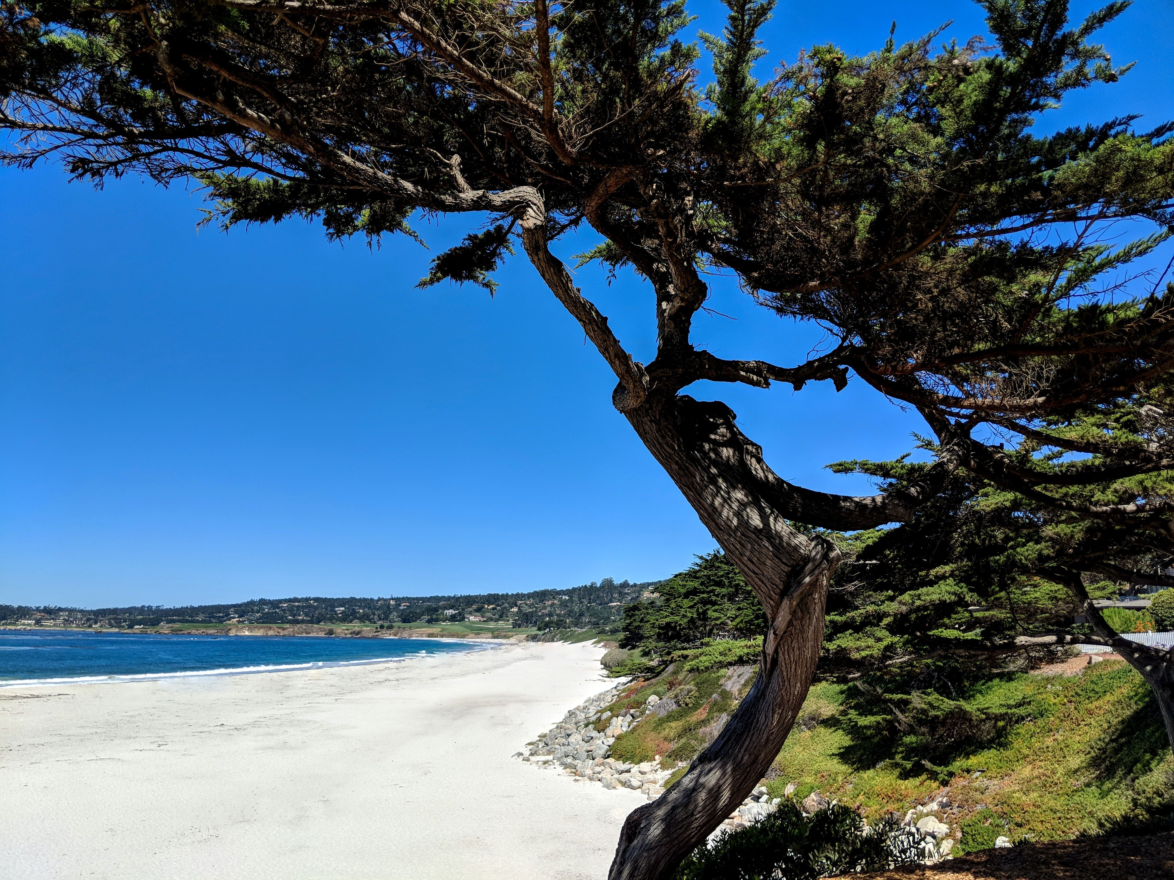 Carmel-by-the-Sea, CA Fishing: Natural Scenery and Artistic History