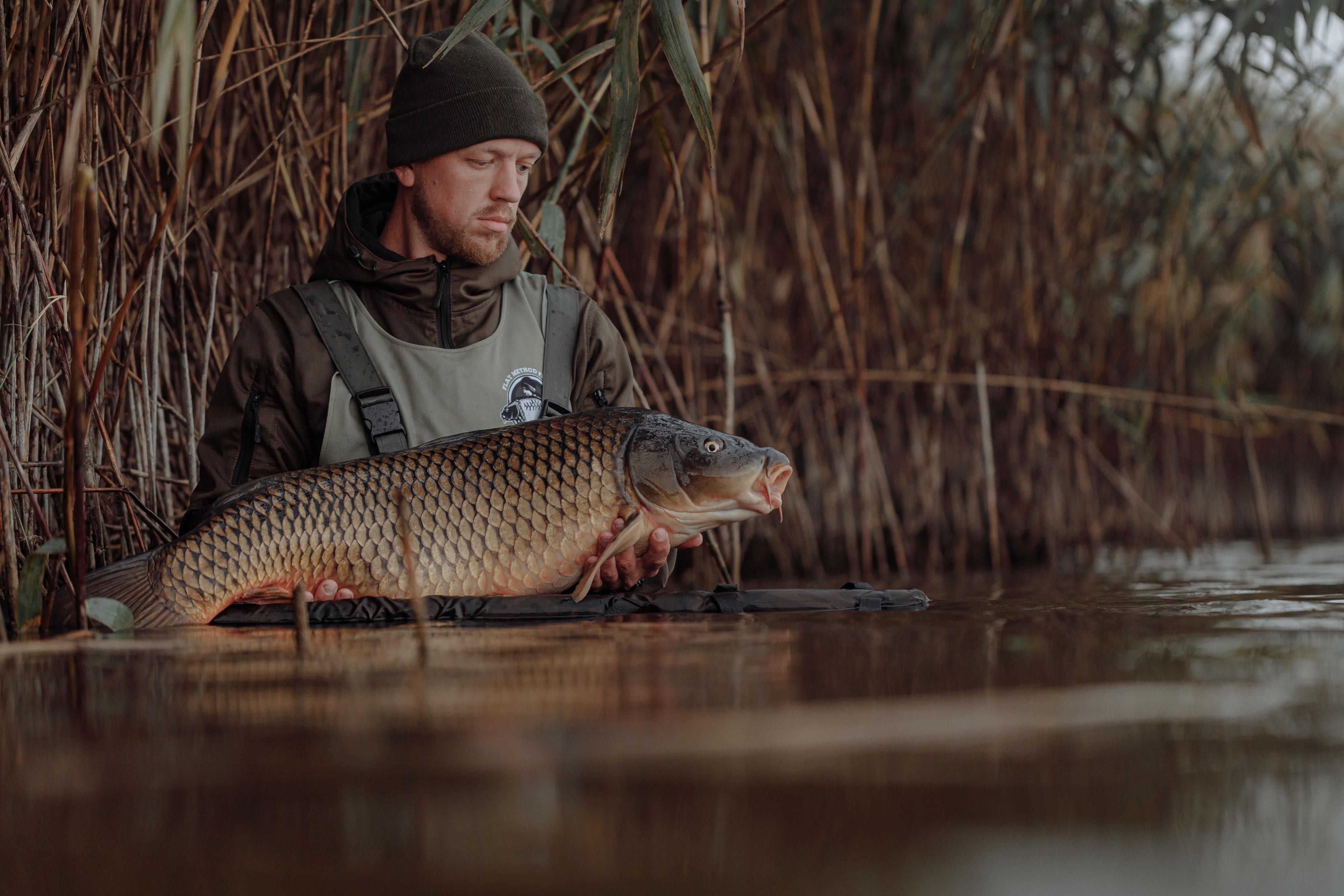 How Catch and Release Fishing Helps the Environment