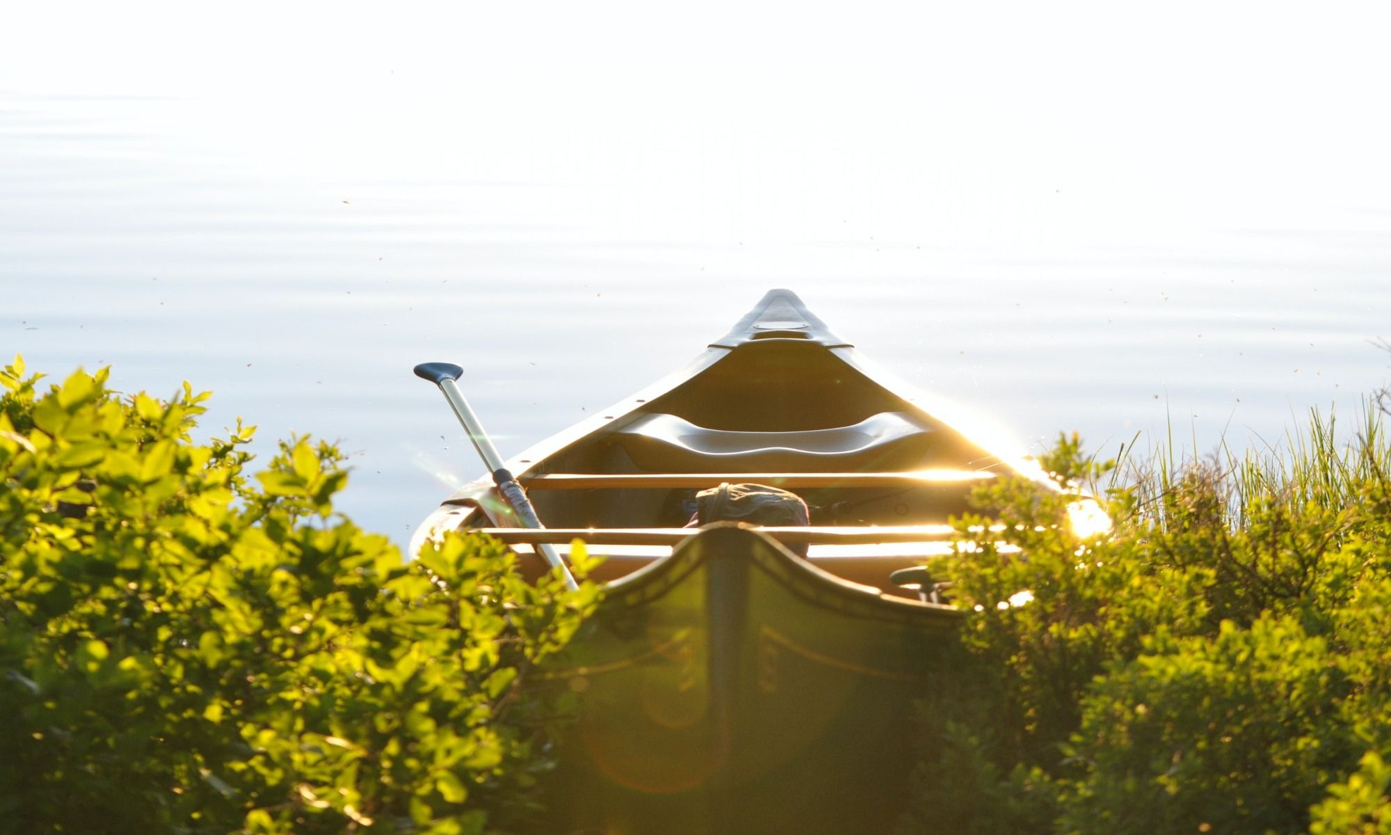 Book Your Fishing Charter in Cayuga, NY