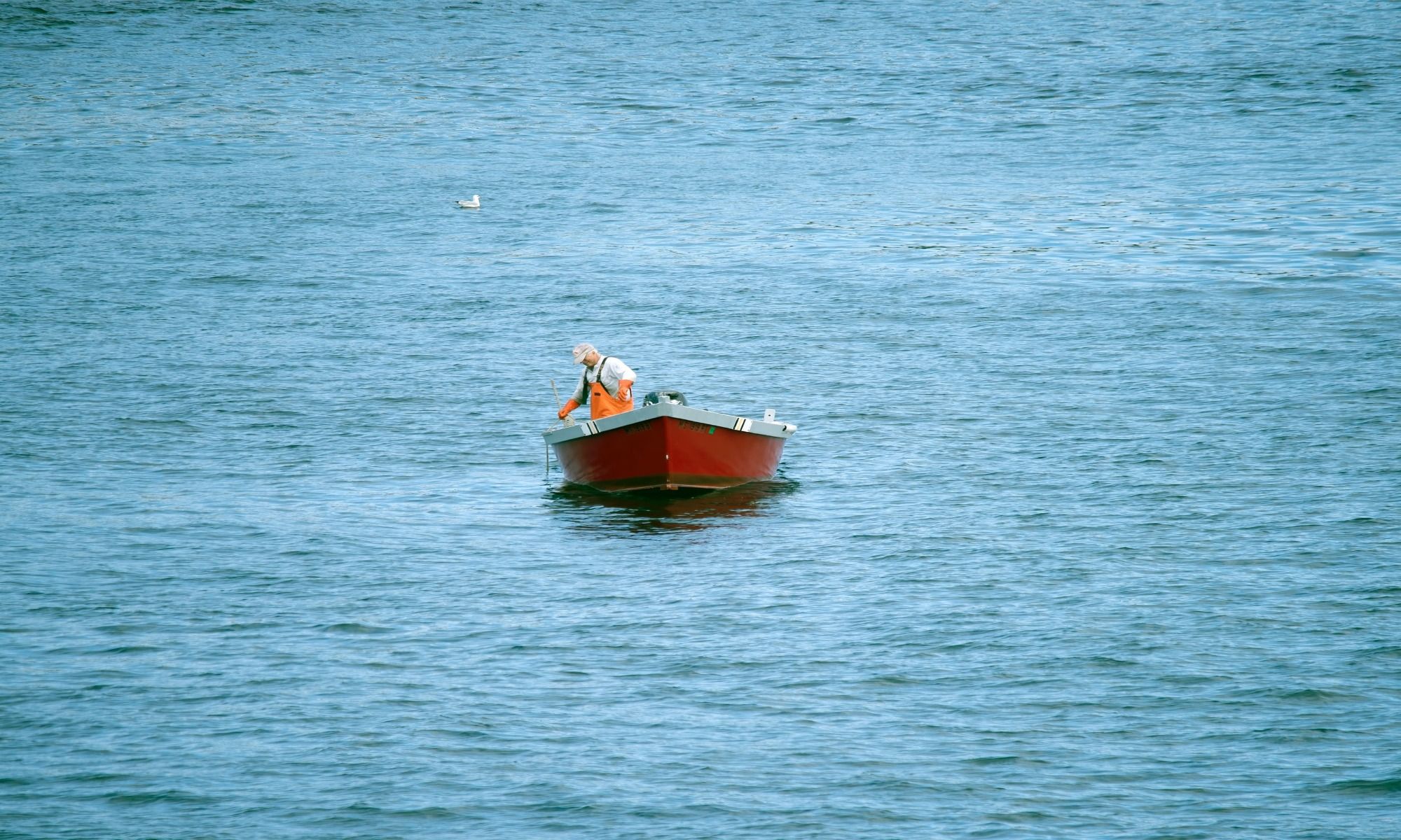 Book Your Fishing Charter in Charlemont, MA