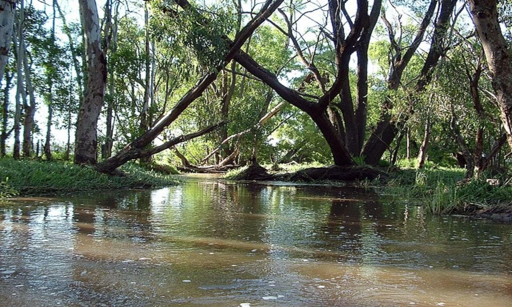 Chataignier, LA Fishing: Easy Access to the Cajun Country’s Fishing Spots