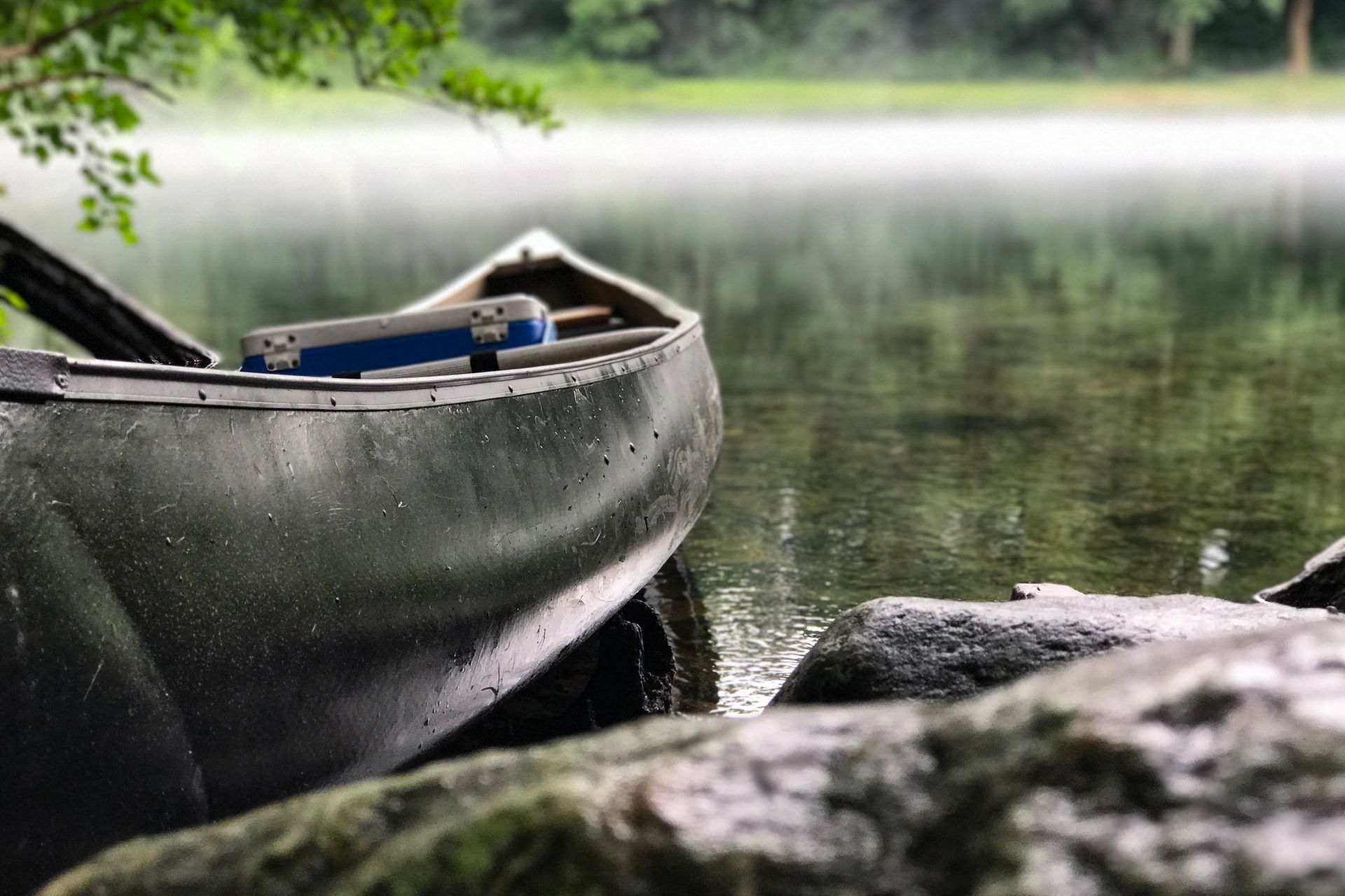 Angler's Guide to Packing a Cooler