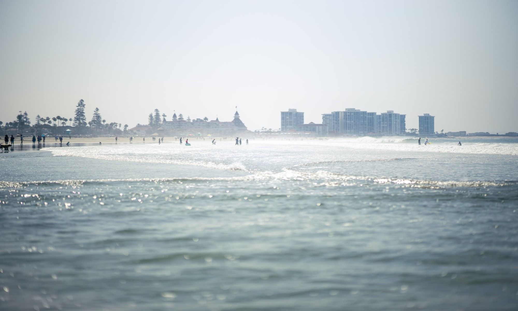 Book Your Fishing Charter in Coronado, CA