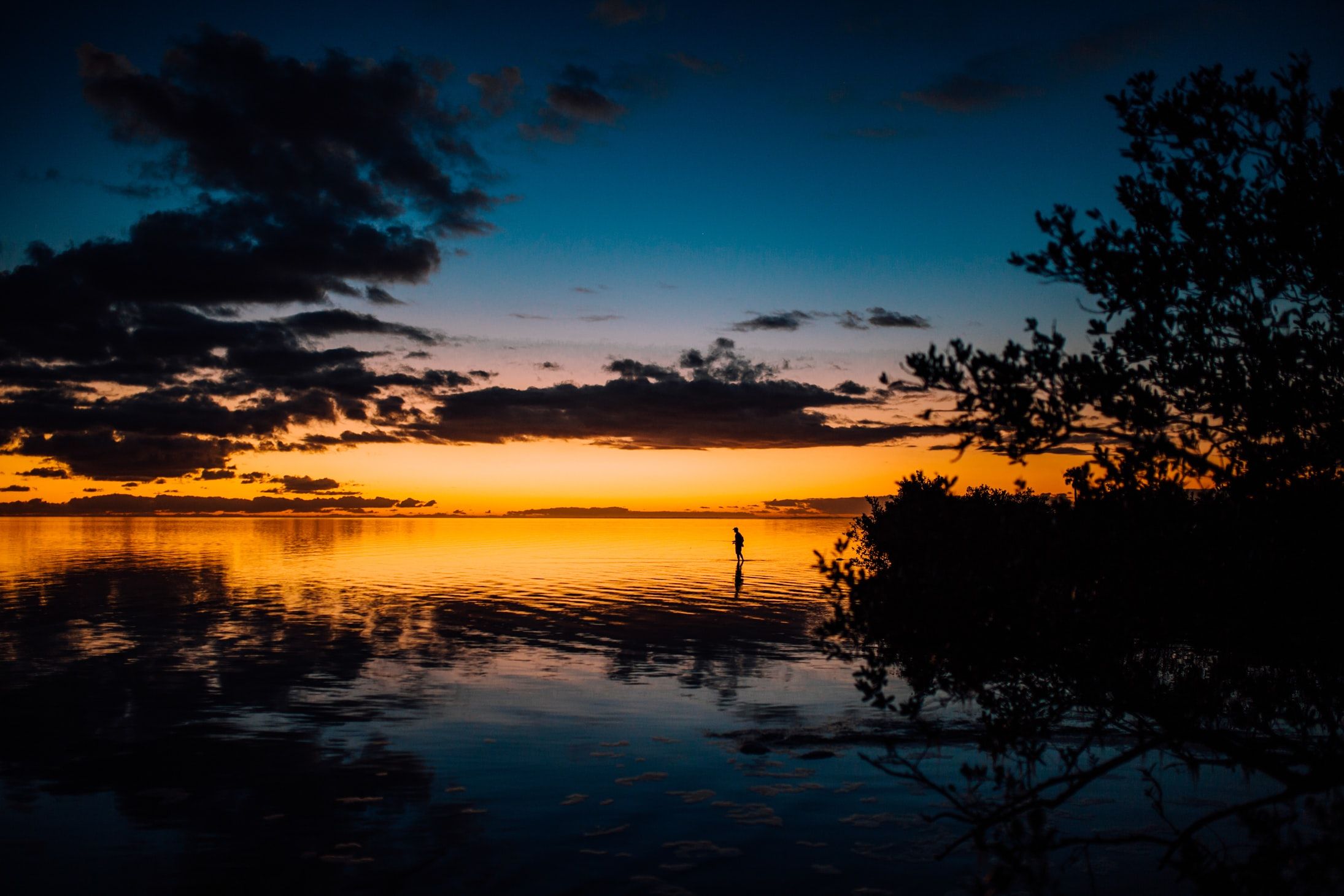 Booking Your Fishing Trip in Cortez, FL