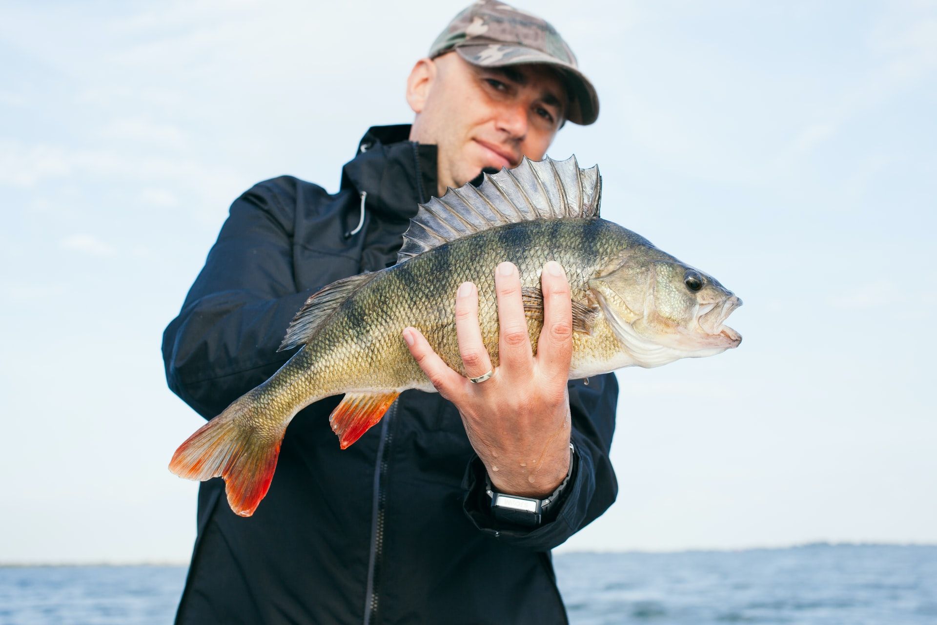 How to Leverage Lipless Crankbaits to Catch More Bass