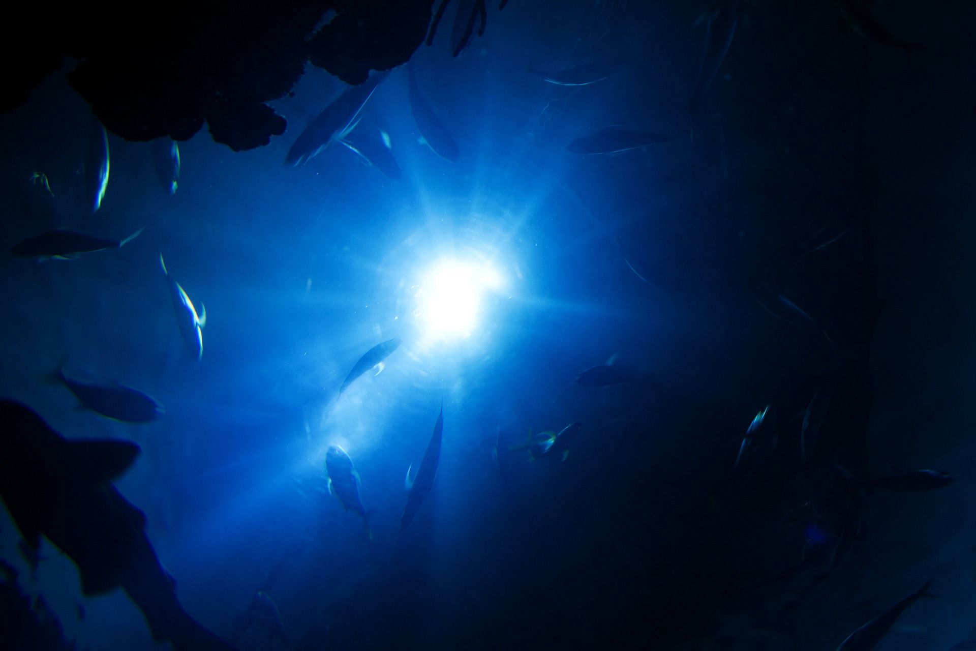 Why is Deep Sea Fishing Best in Texas?