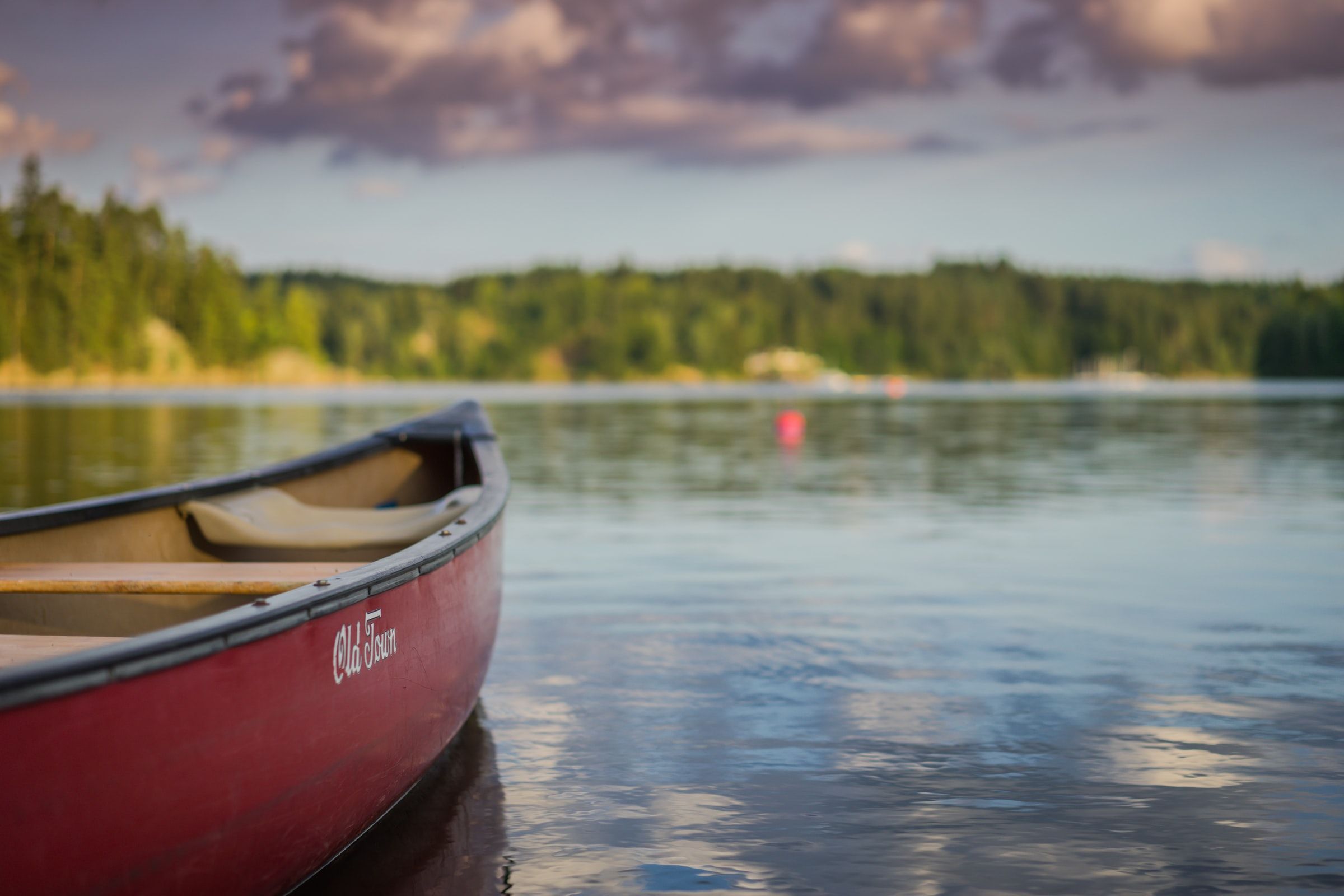 Book Your Fishing Charter in Delaware County, NY