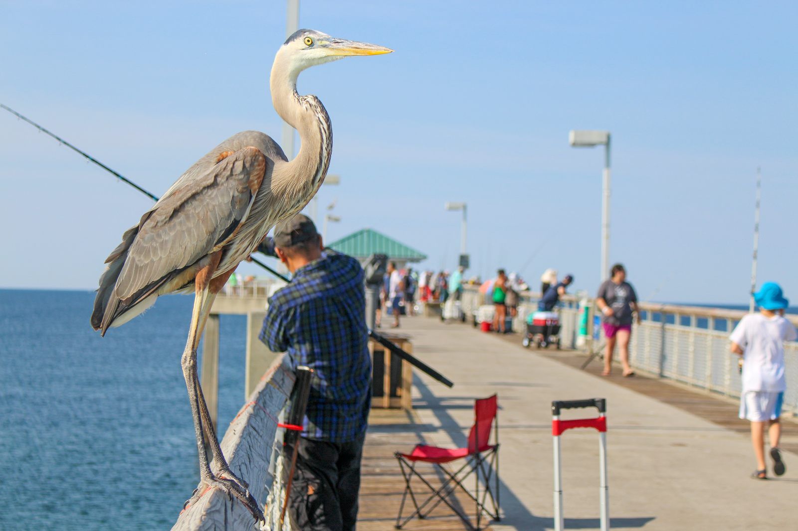 Destin Fishing Pier Florida Fishing