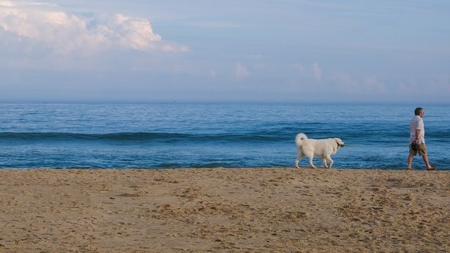 East Hampton, Suffolk, Long Island, NY