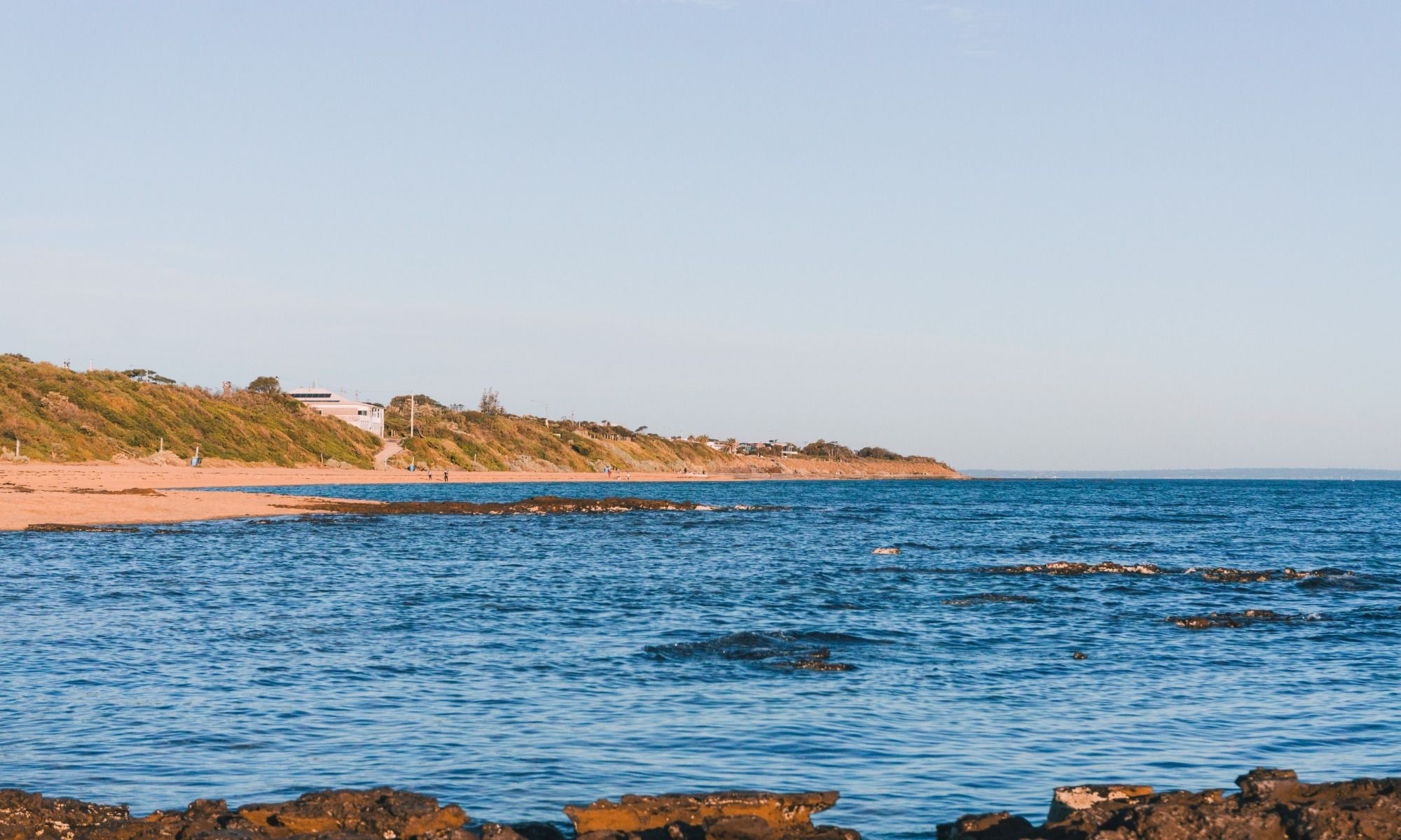 Book Your Fishing Charter in Falmouth, MA