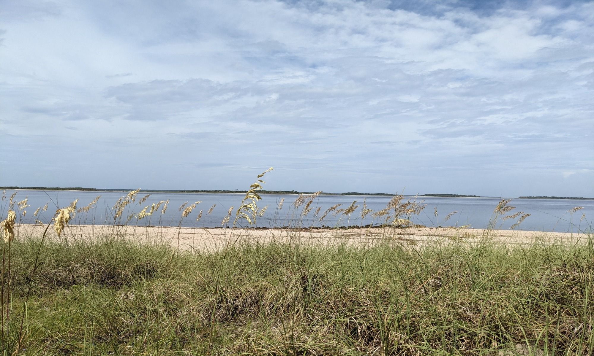 Book Your Fishing Charter in Fernandina Beach, FL