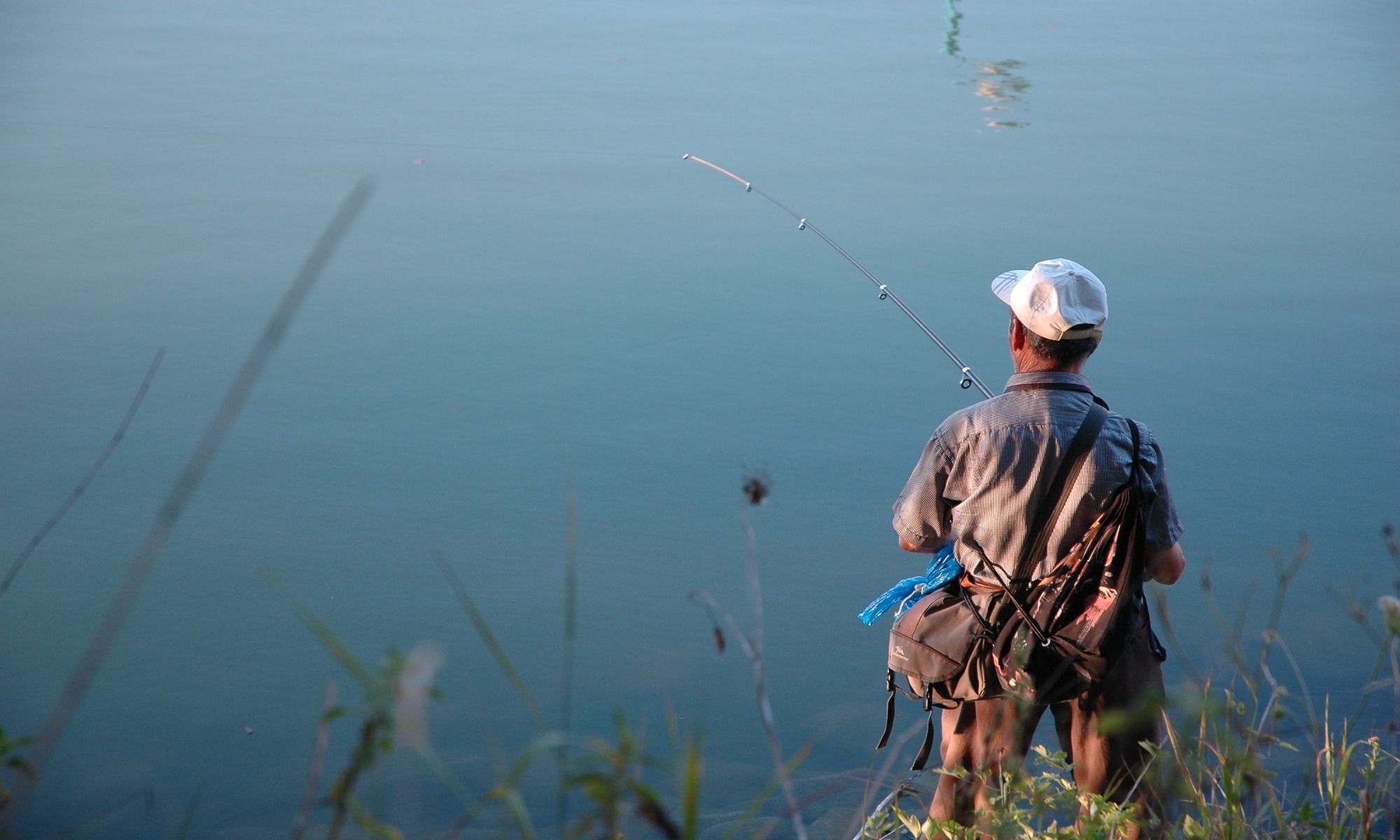 Fish Scent: Three Top Presentations for Adding Them