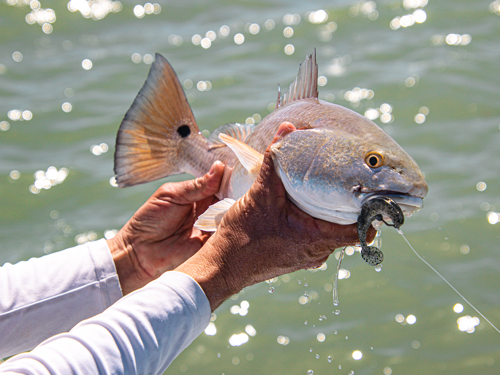 FishingAdventures_KeyLargo_06