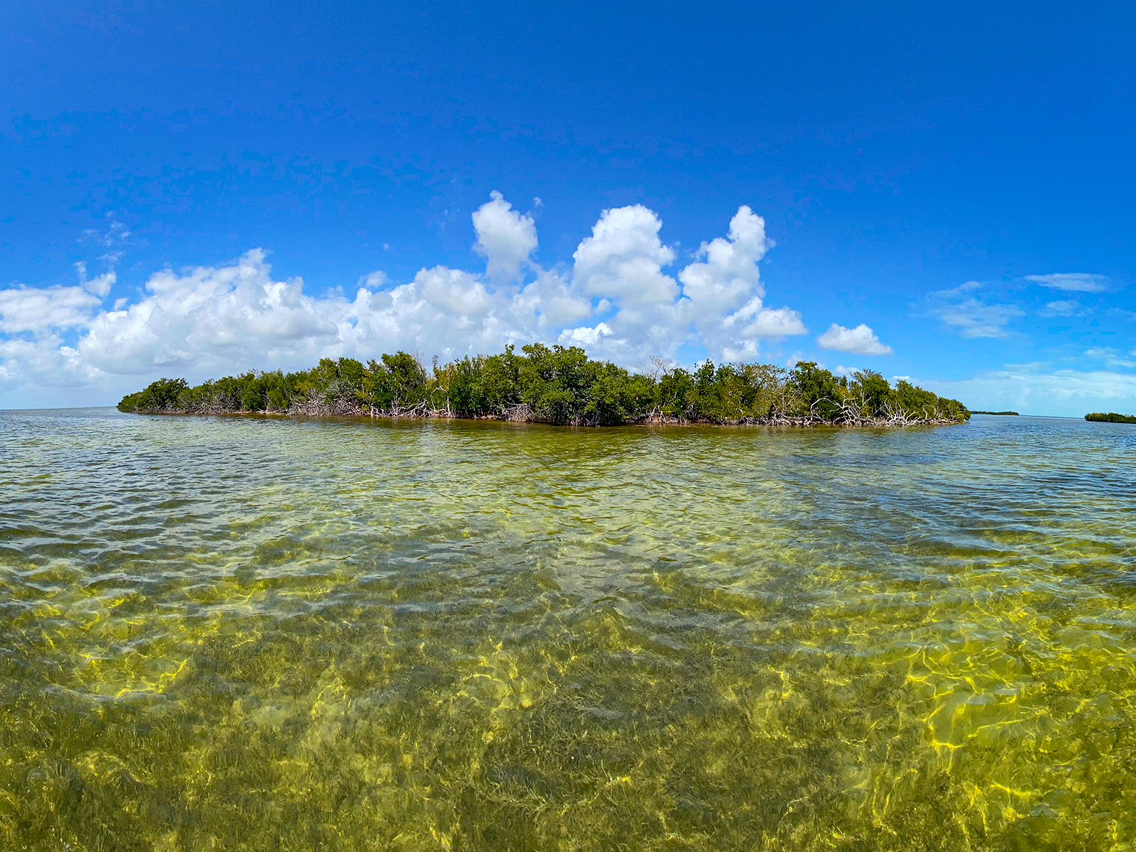 FishingAdventures_KeyLargo_08