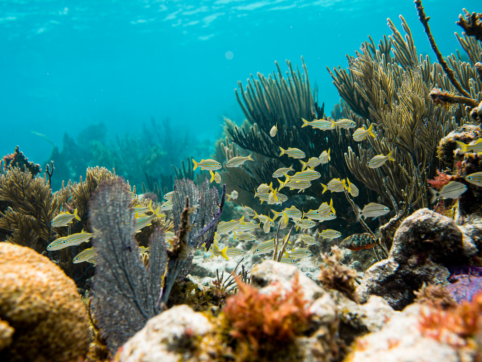 FishingAdventures_KeyLargo_09