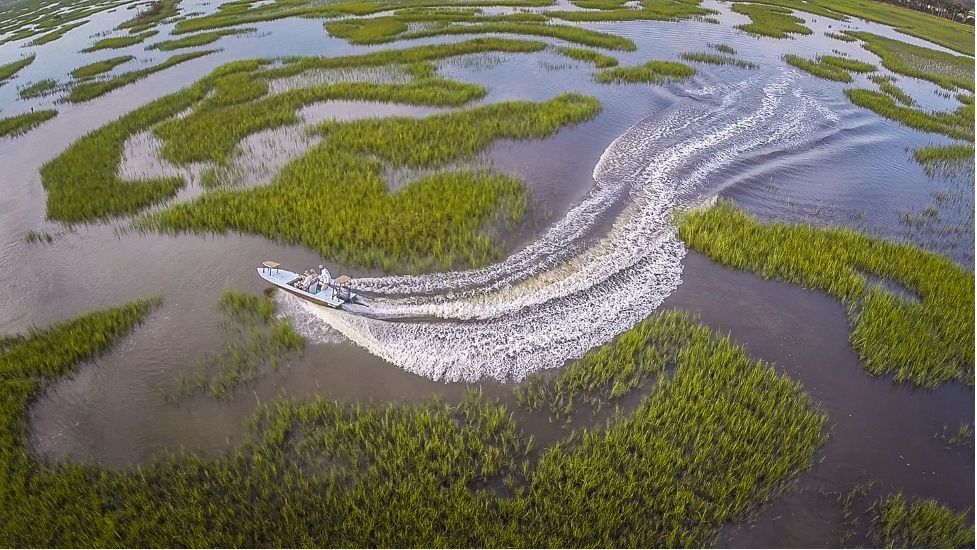 How Tides Affect the Flounder Run in Texas