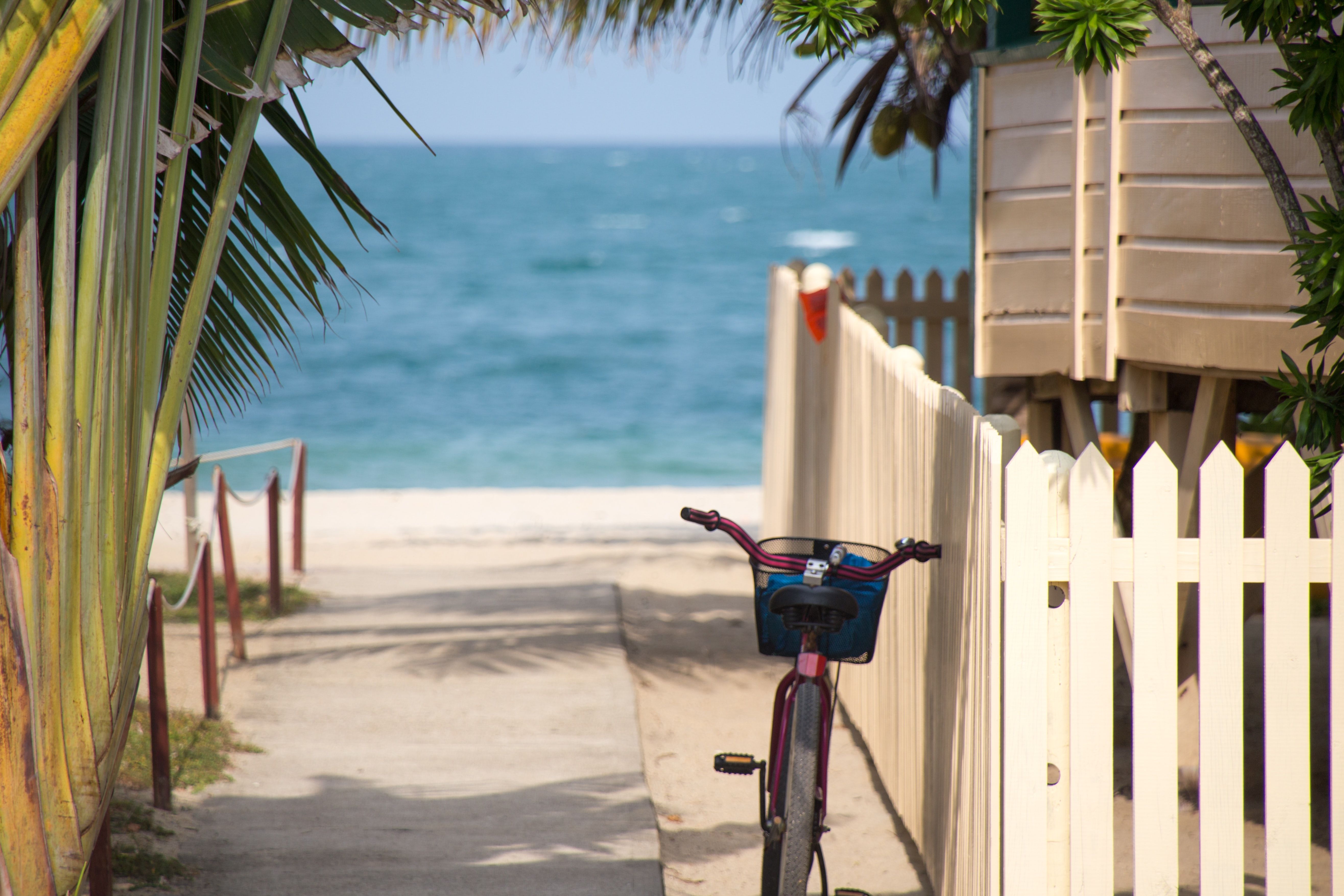 Book Your Fishing Charter in Florida Keys, FL