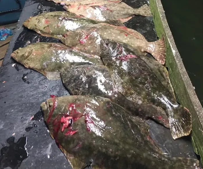 What is the Texas Flounder run?