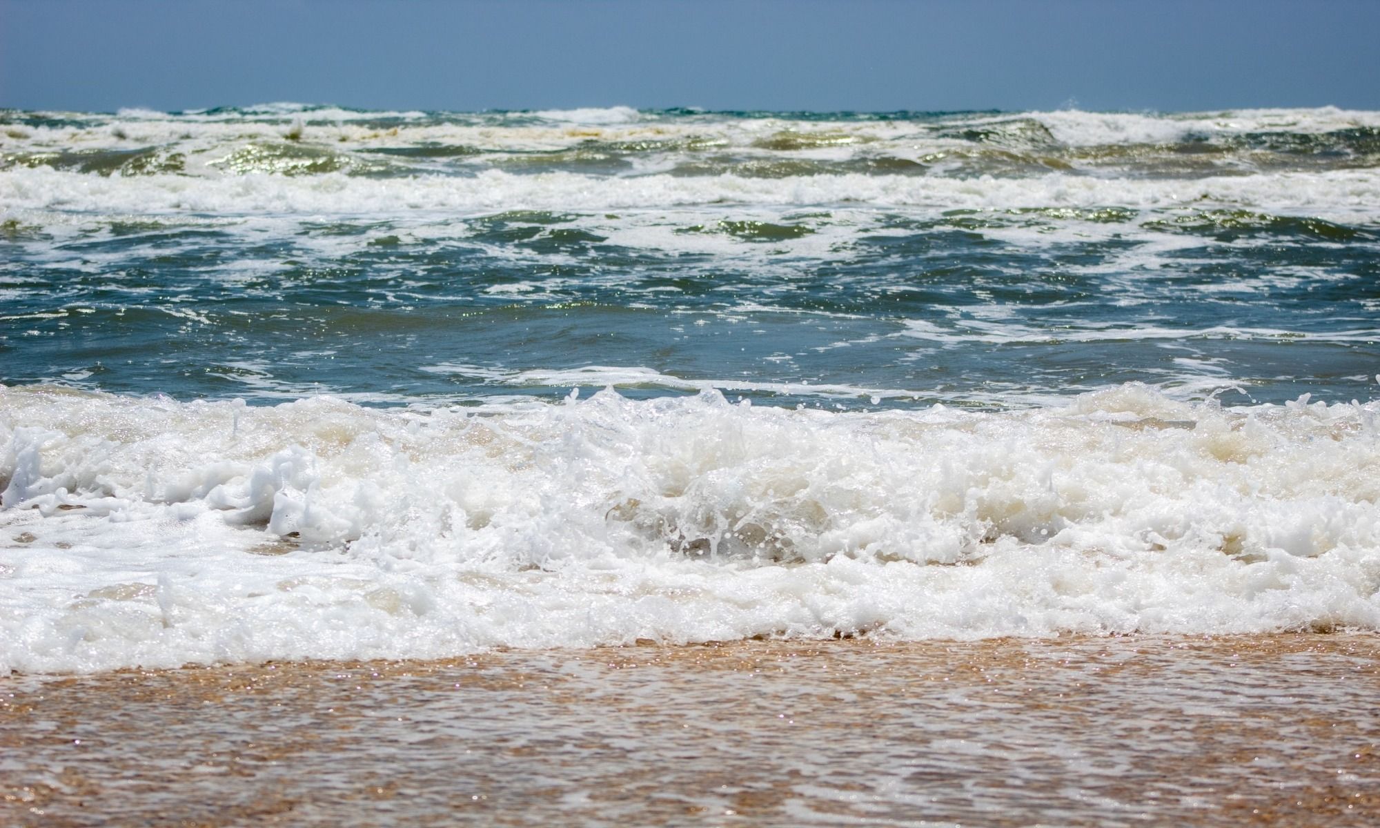 Book Your Fishing Charter in Freeport, TX
