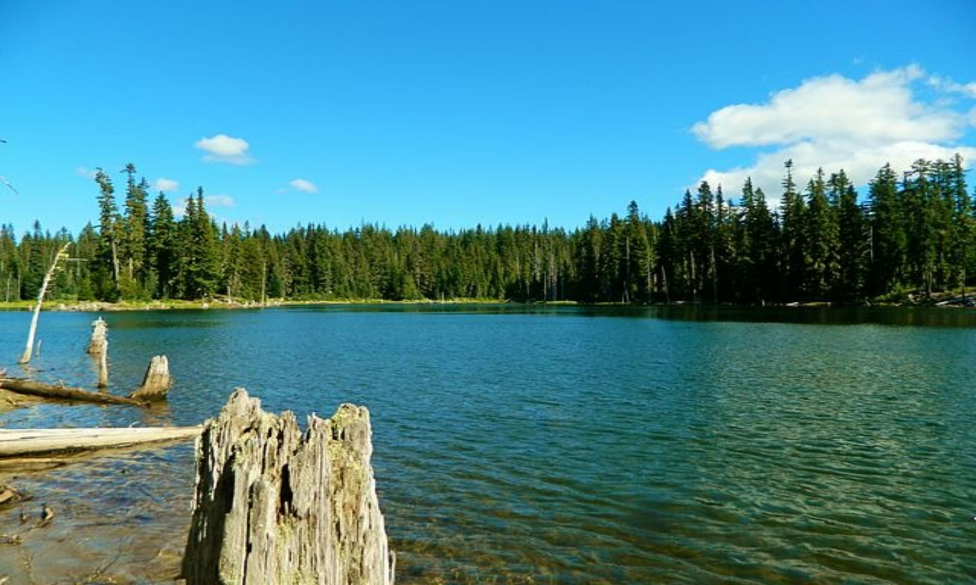 Fremont, CA Fishing: Attractive Fishing Spots in the Tri-City Area 