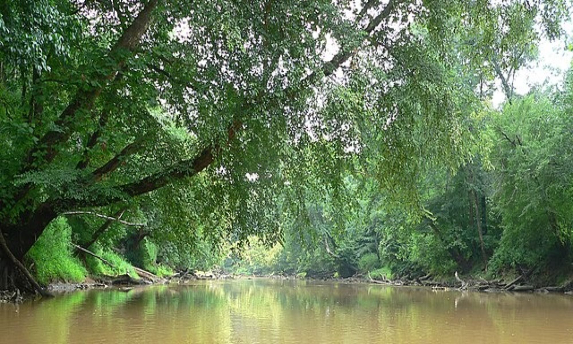 Fuquay-Varina, NC Fishing: A Quaint Little Town in North Carolina 