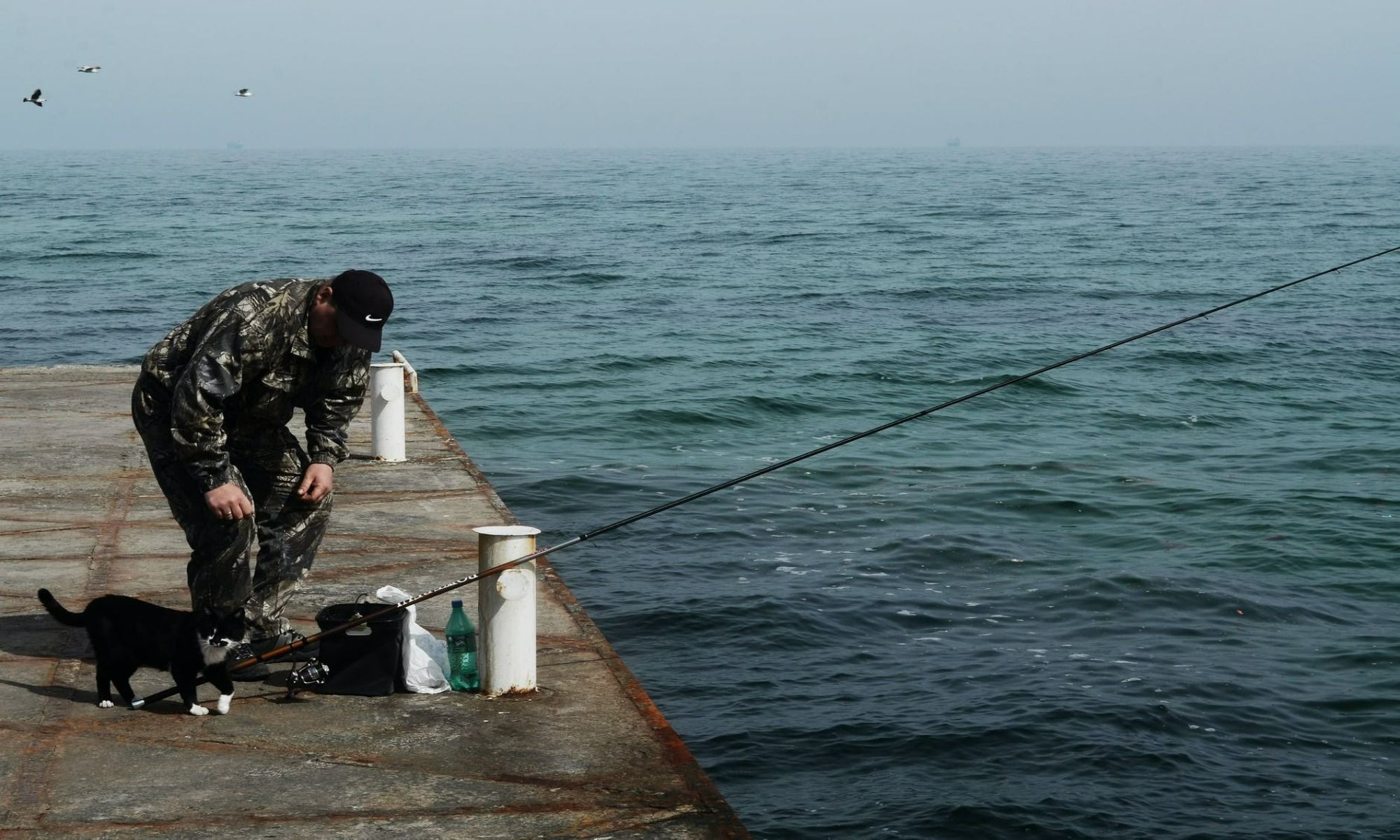 Goshen, MA Fishing: Accessible Highland Lake Fishing