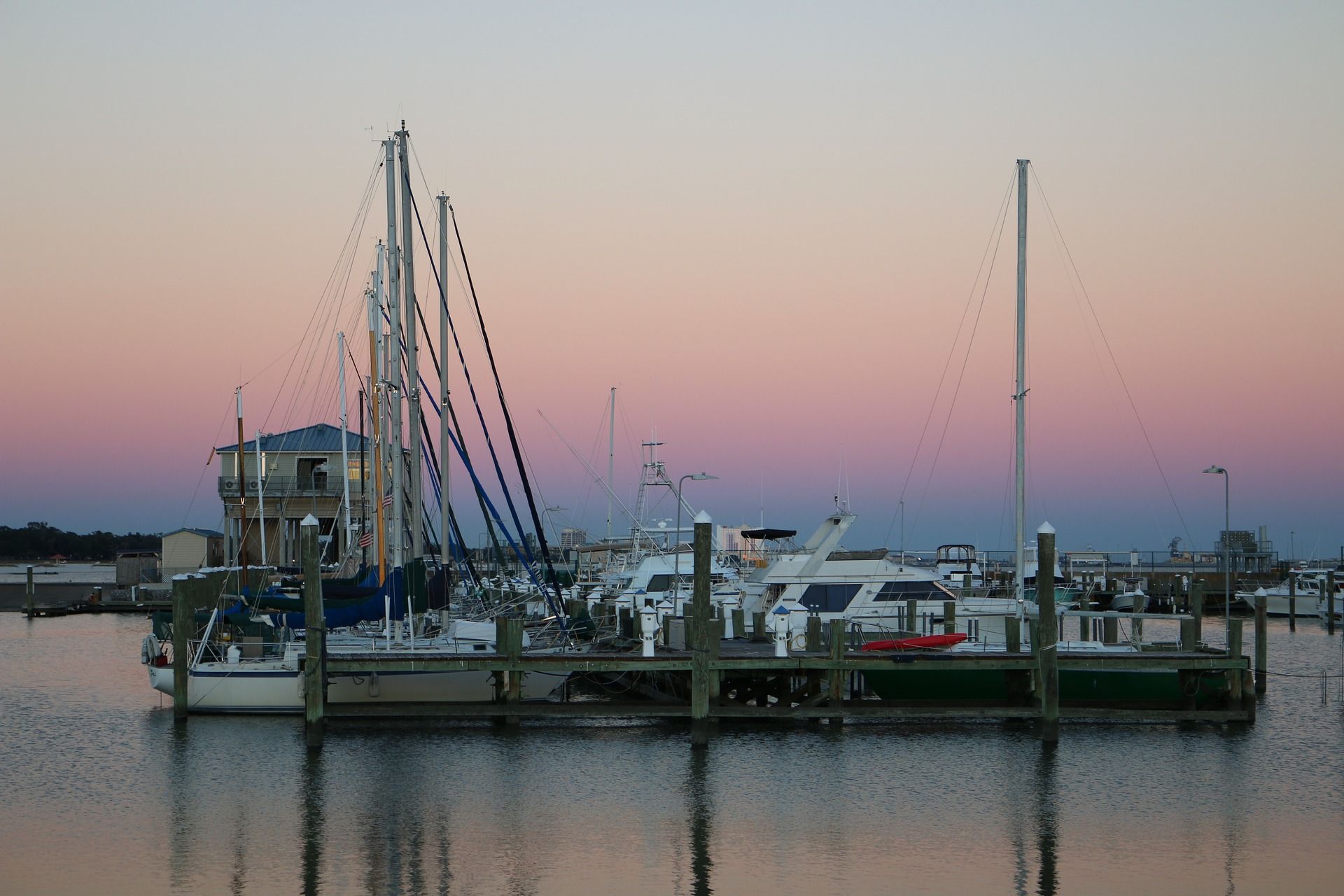 Gulf of Mexico Fishing: Prized 15 Fish to Catch