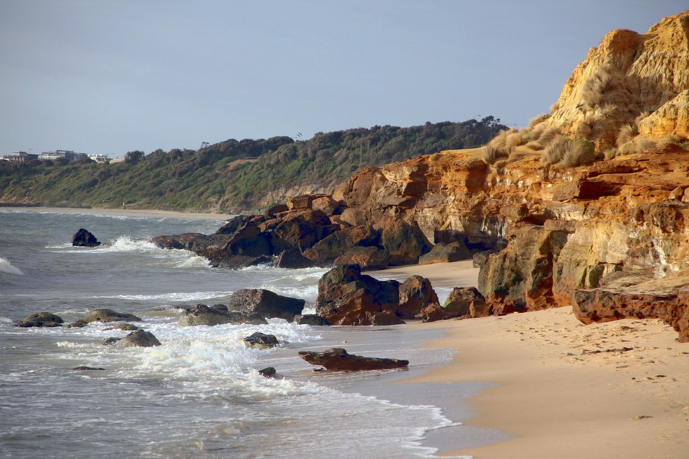 Book Your Fishing Charter in Half Moon Bay, CA