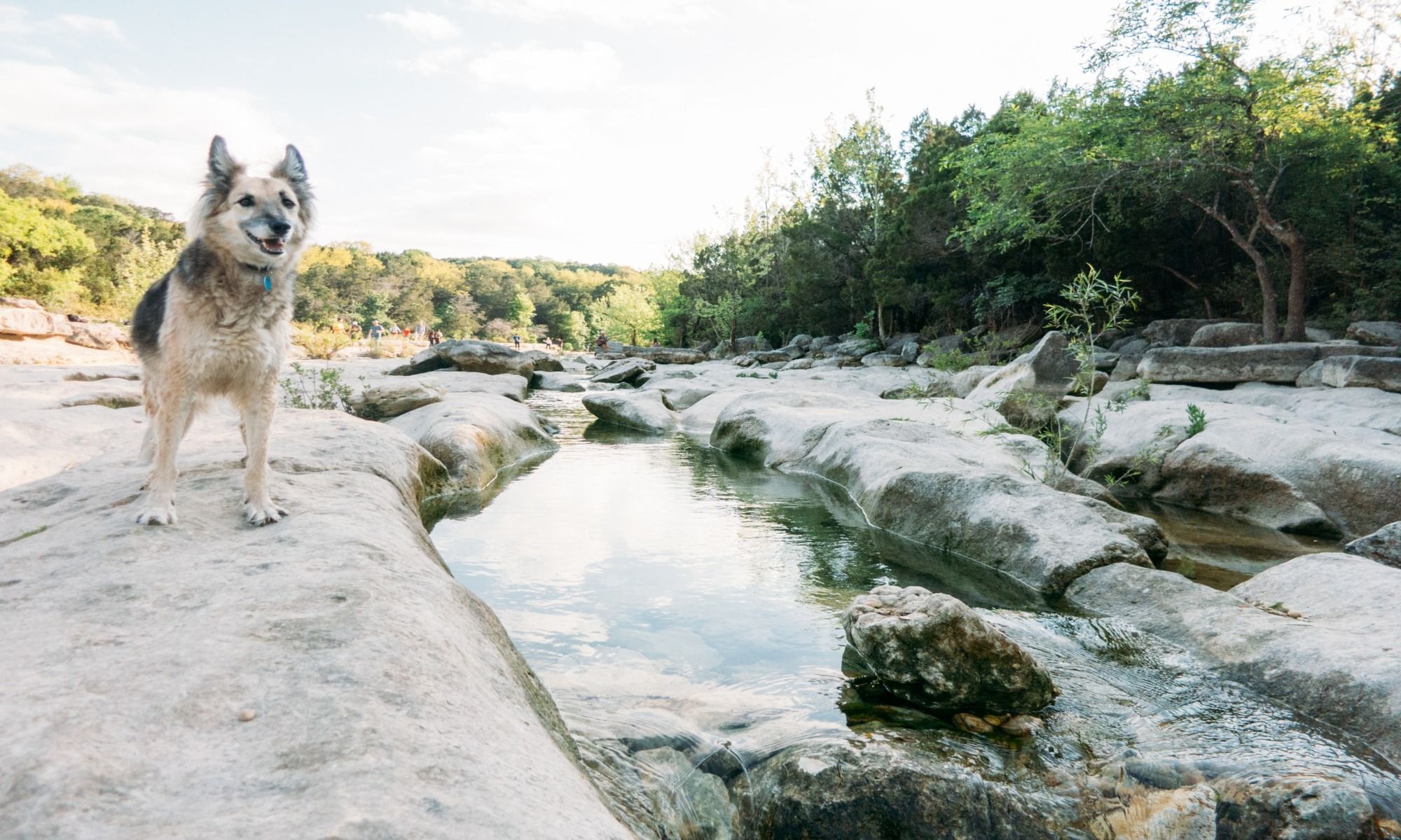 Book Your Fishing Charter Hays, TX