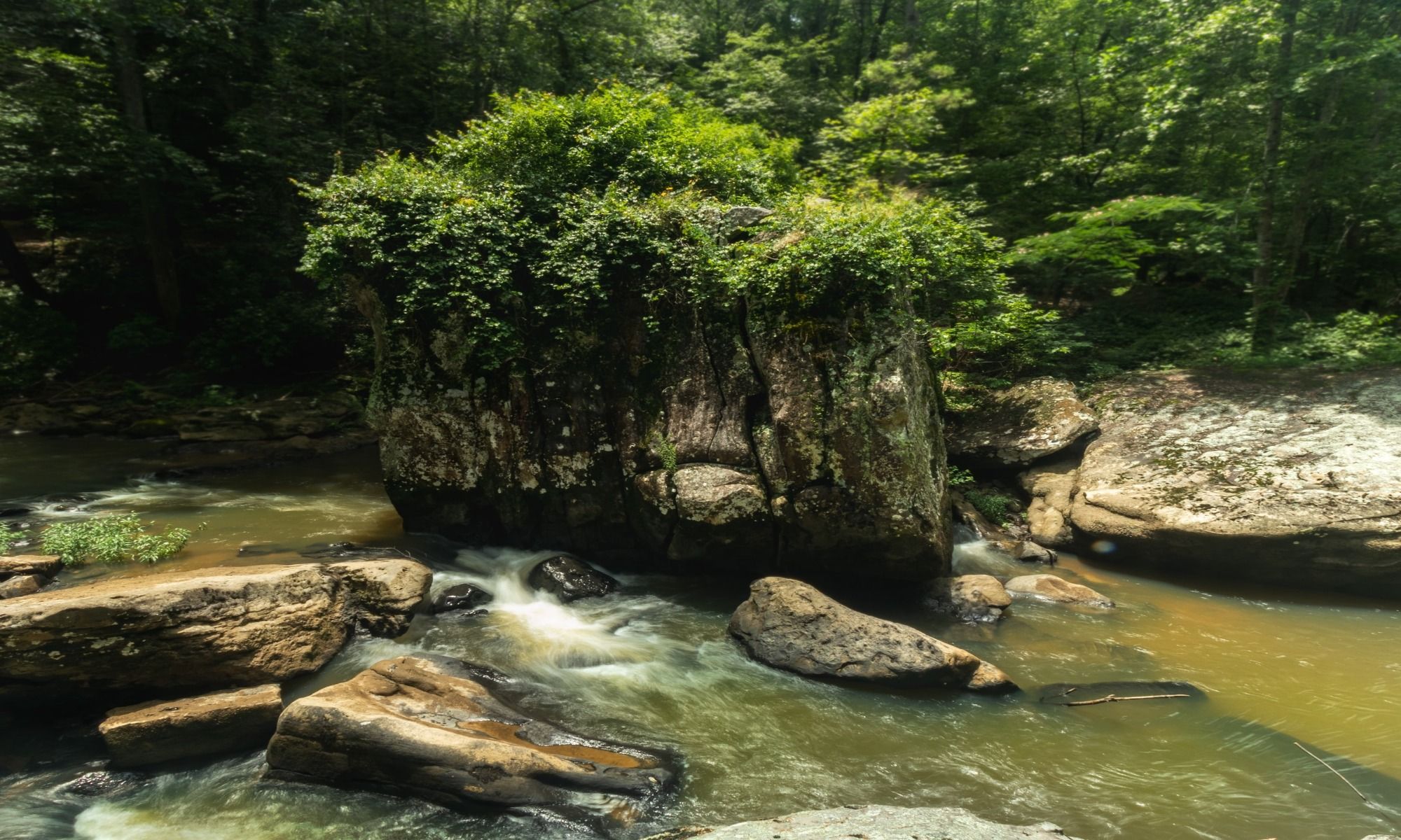Hays, TX Fishing: Experiencing Great Angling Adventures