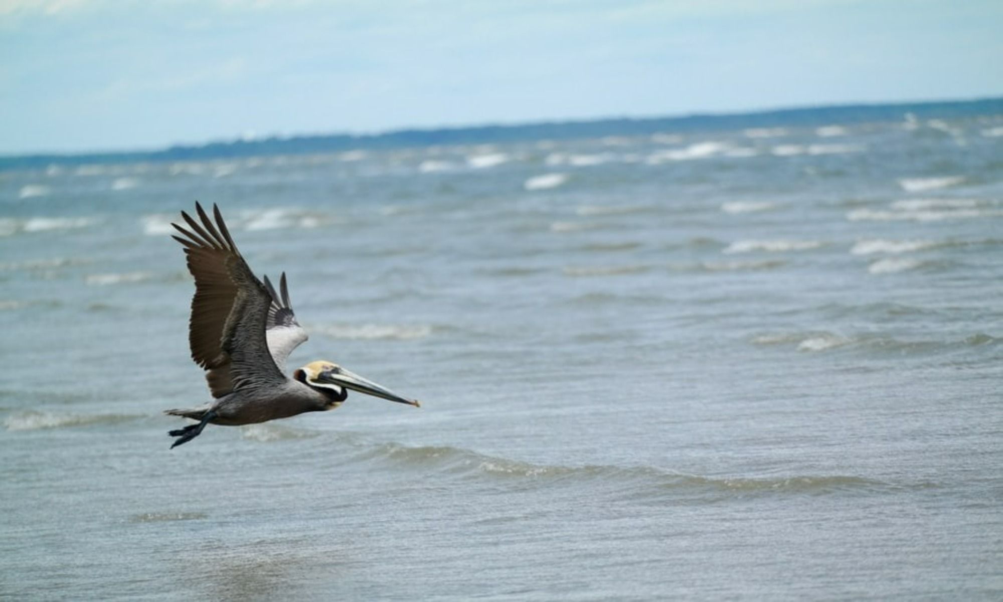 Hilton Head Island, SC Fishing: Exceptional Angling on the Top South Carolina Island