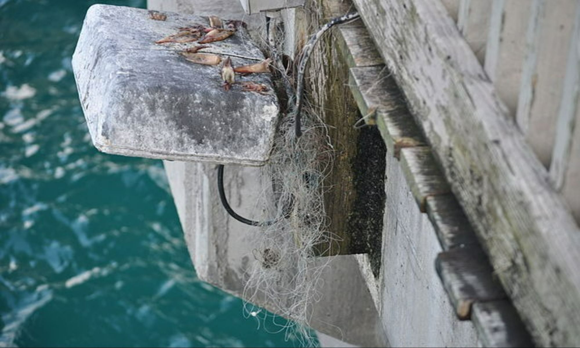 How to Avoid Tangles When Fishing