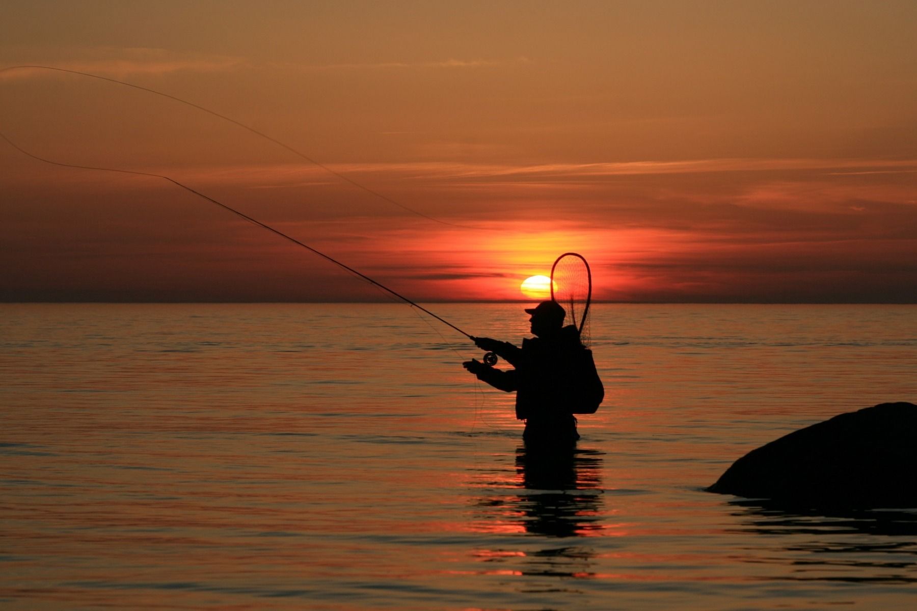 Intermediate Fly Line: When to Use